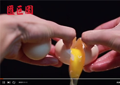 匯巨園品牌宣傳片